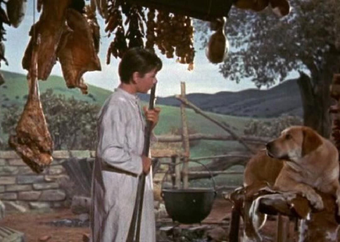 #74. Old Yeller (1957)
